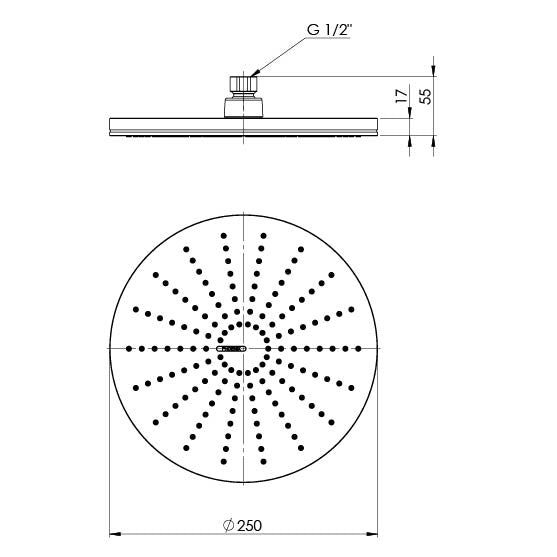 NX Vive Shower Rose